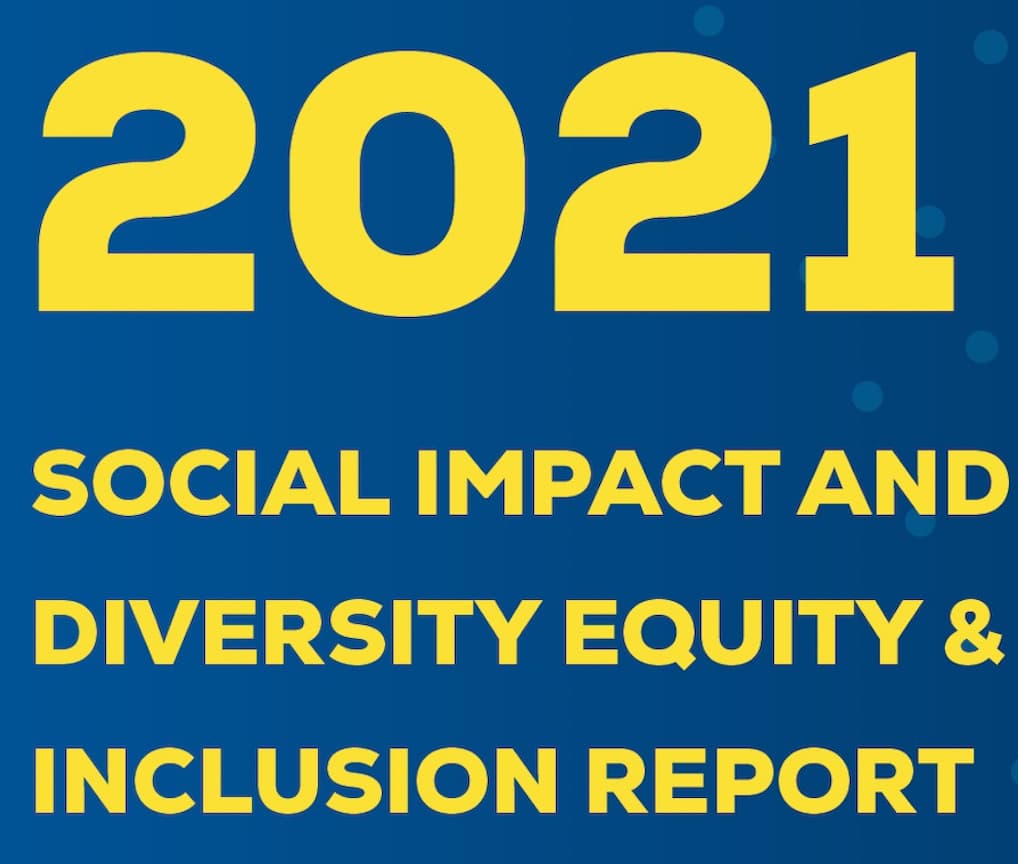 Social impact report preview